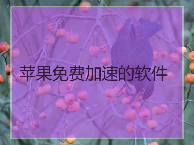 苹果免费加速的软件