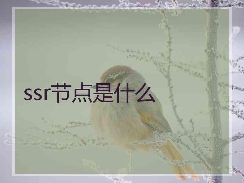 ssr节点是什么