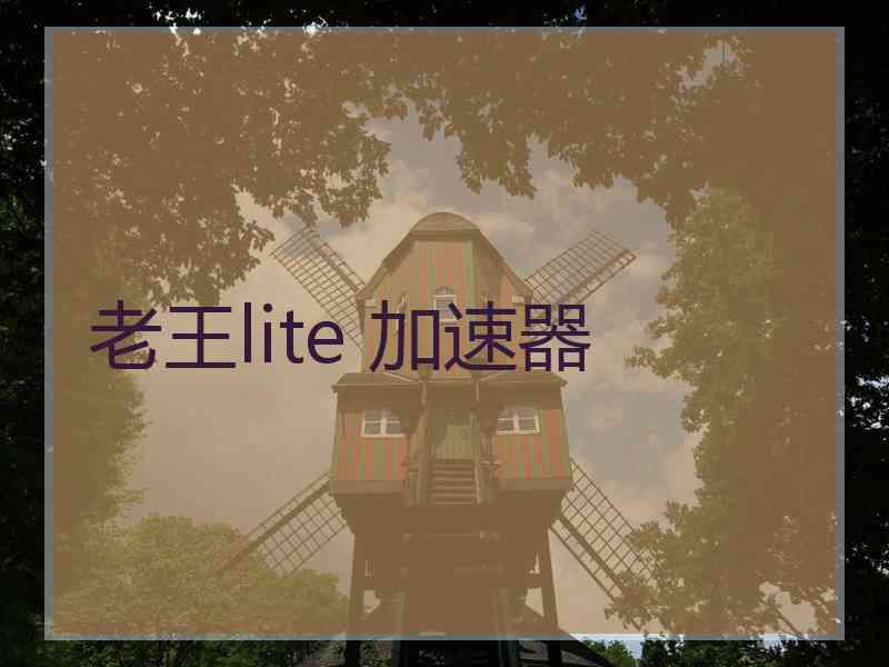 老王lite 加速器