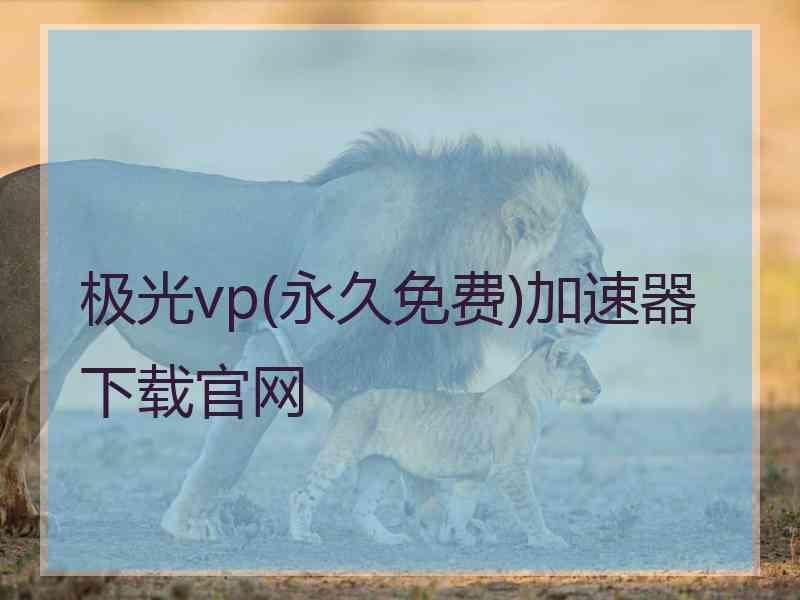 极光vp(永久免费)加速器下载官网