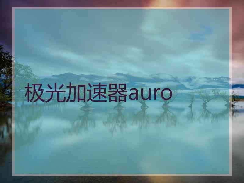 极光加速器auro