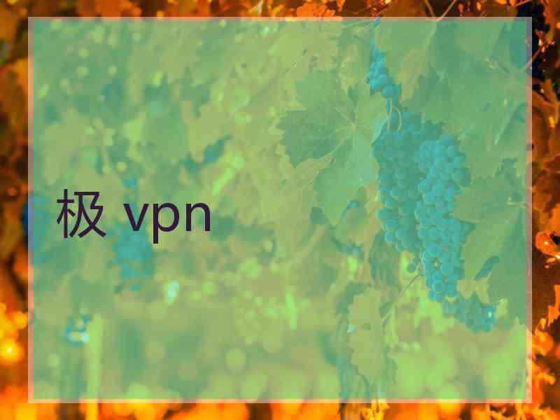 极 vpn