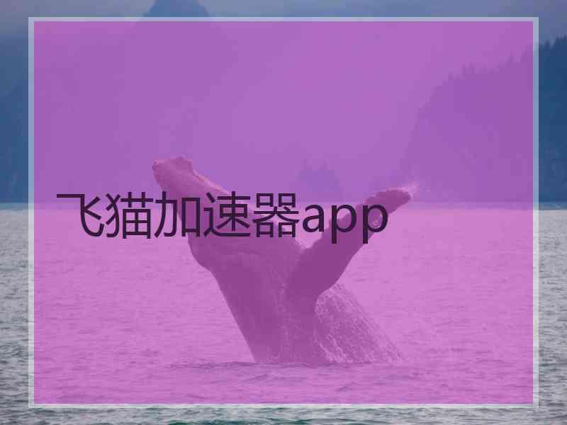 飞猫加速器app