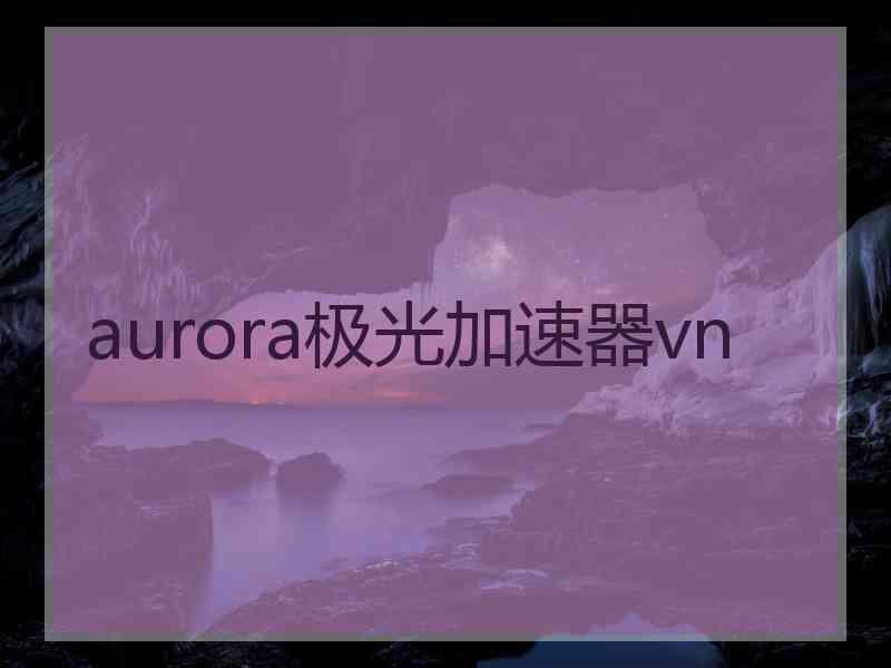 aurora极光加速器vn