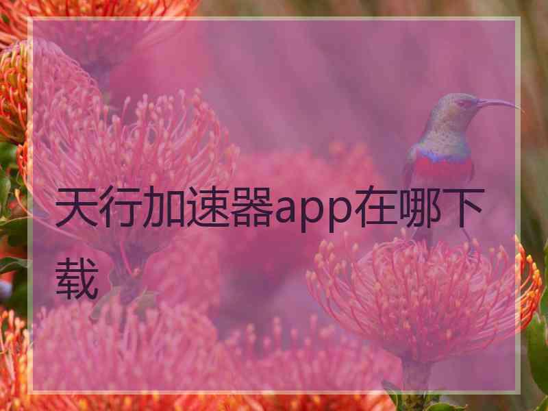 天行加速器app在哪下载