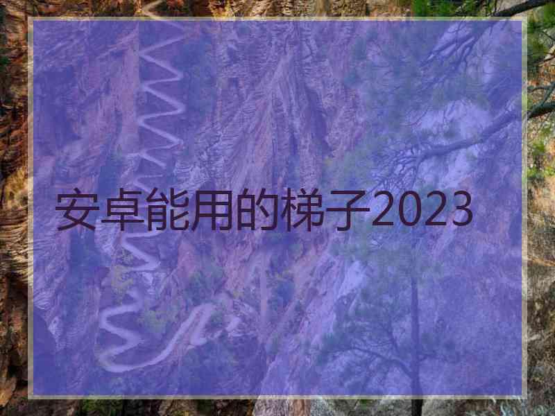 安卓能用的梯子2023