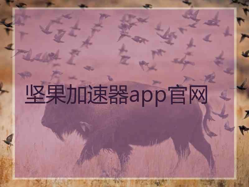 坚果加速器app官网