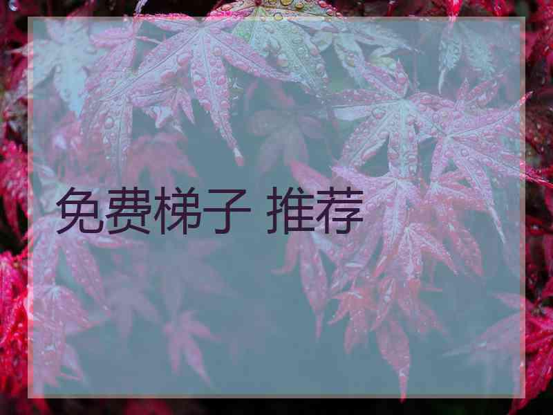 免费梯子 推荐