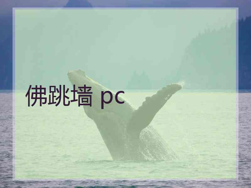 佛跳墙 pc