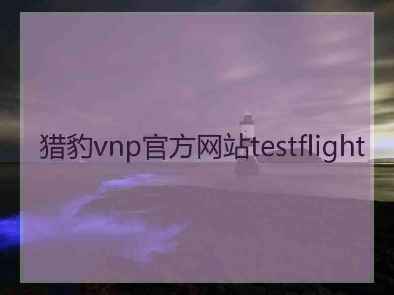 猎豹vnp官方网站testflight