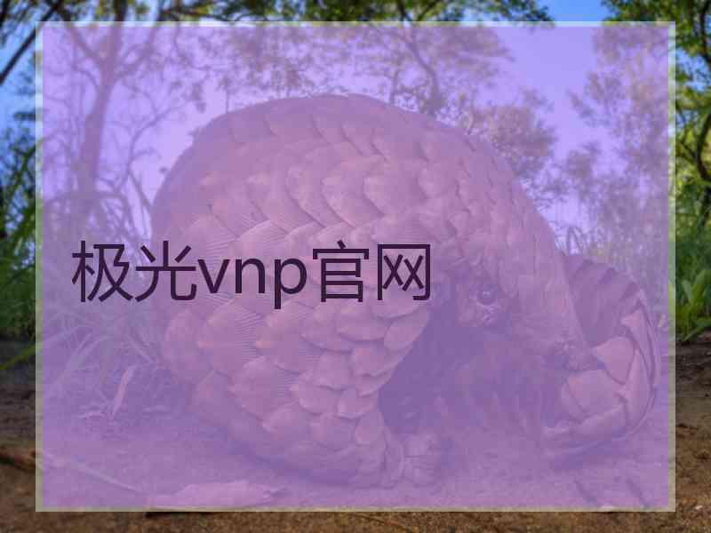 极光vnp官网