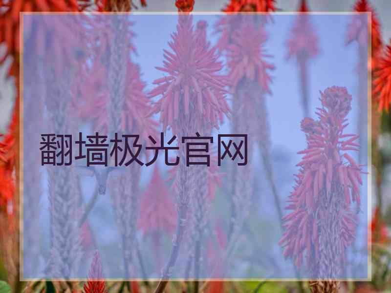 翻墙极光官网