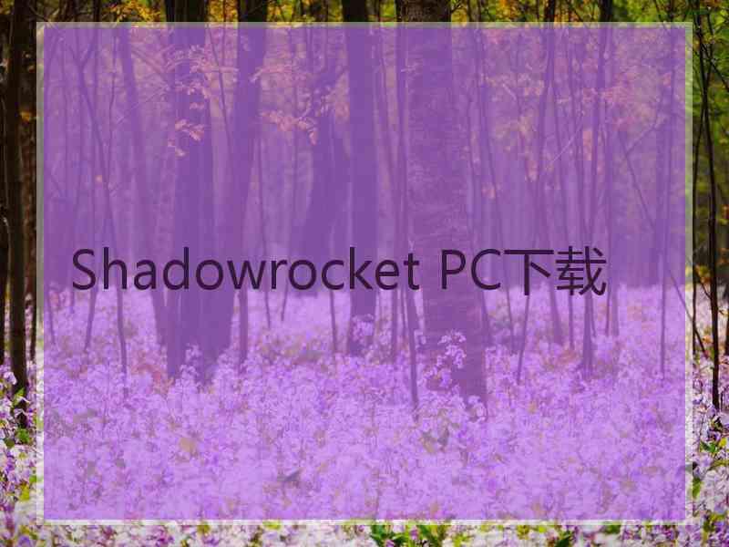 Shadowrocket PC下载