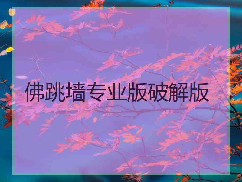 佛跳墙专业版破解版