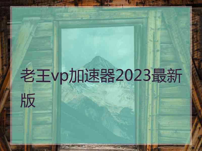 老王vp加速器2023最新版