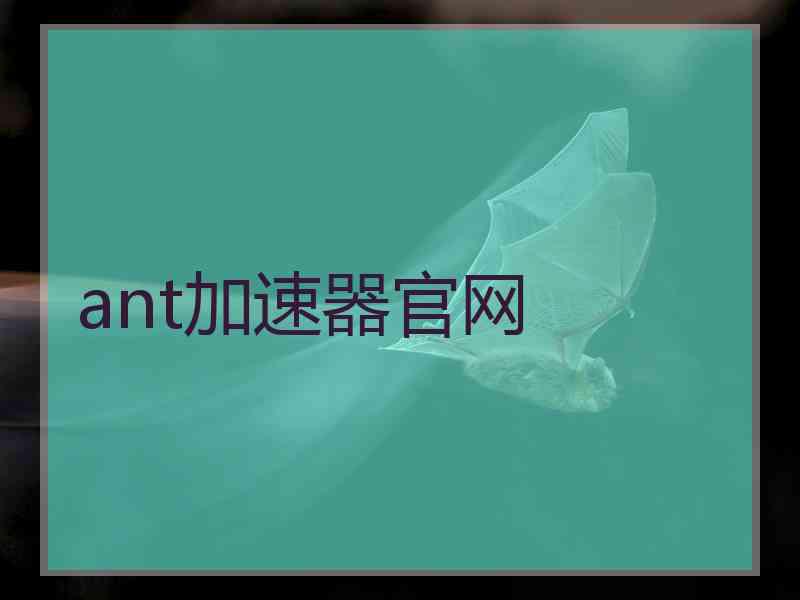 ant加速器官网