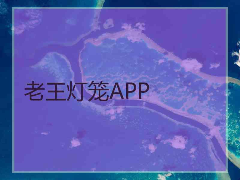 老王灯笼APP