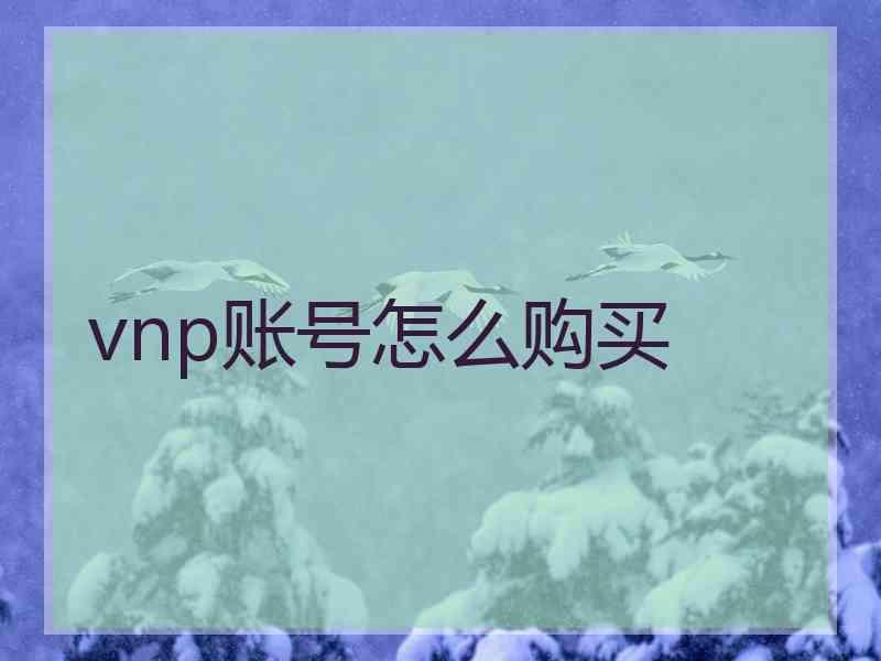 vnp账号怎么购买