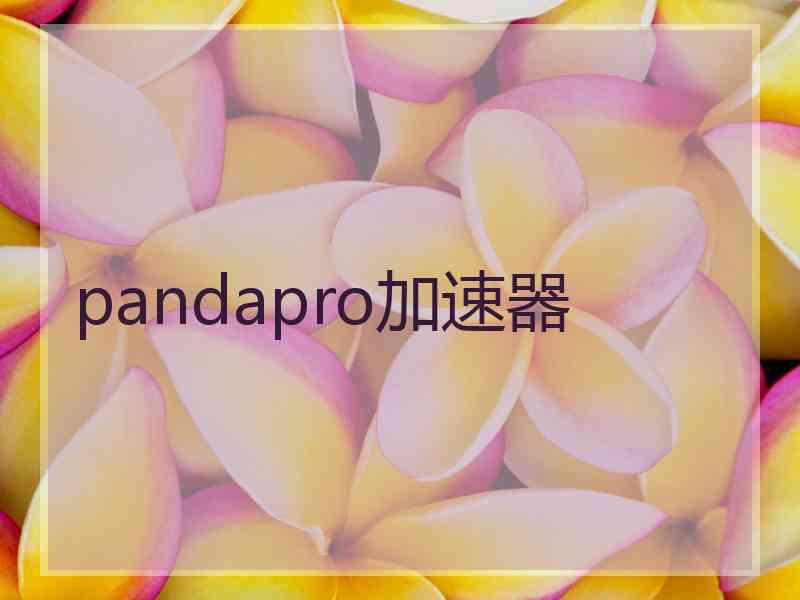 pandapro加速器