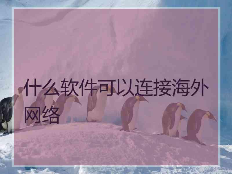 什么软件可以连接海外网络