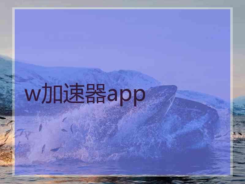 w加速器app