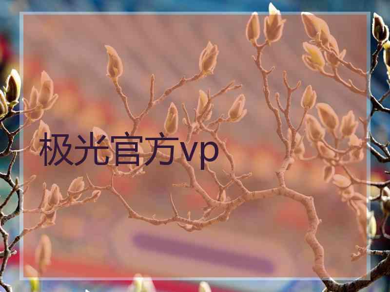 极光官方vp