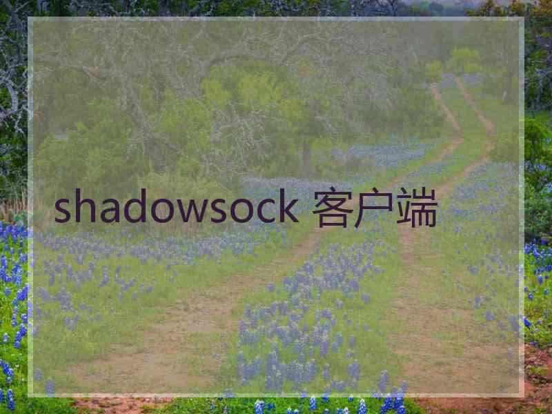 shadowsock 客户端