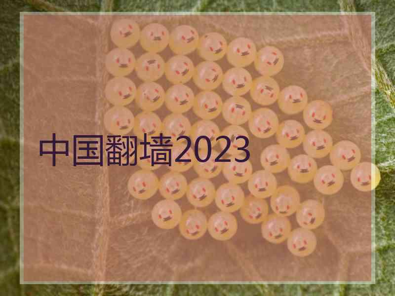 中国翻墙2023