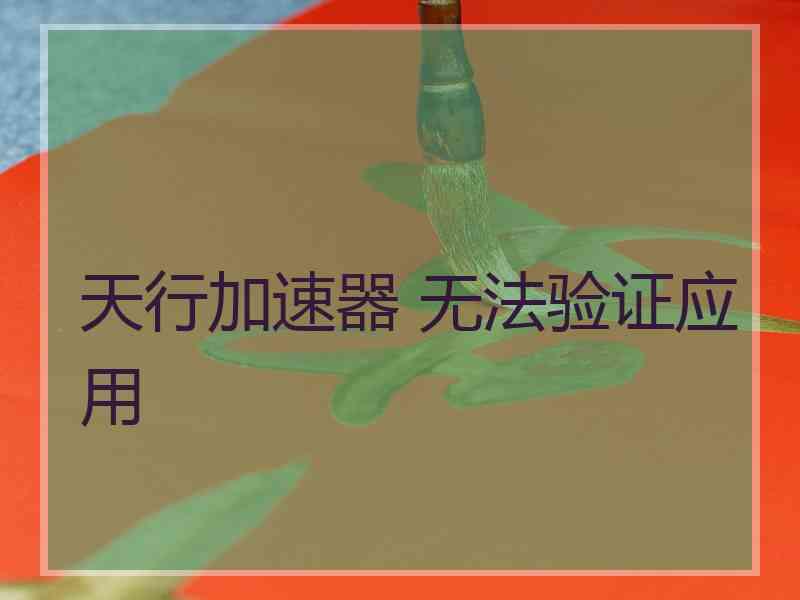 天行加速器 无法验证应用