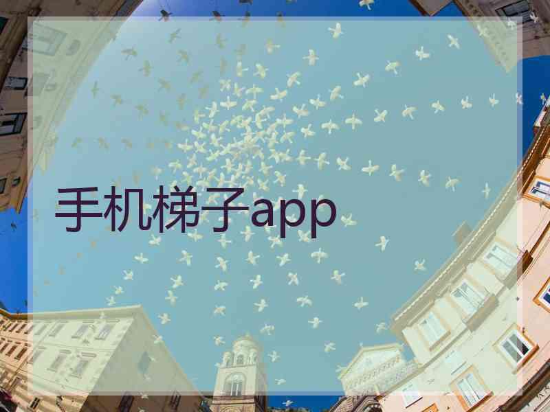 手机梯子app