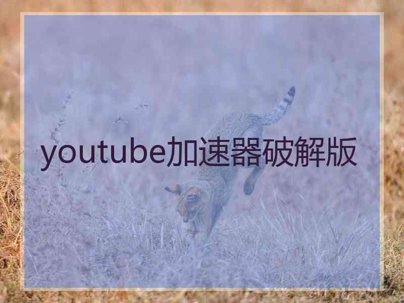 youtube加速器破解版