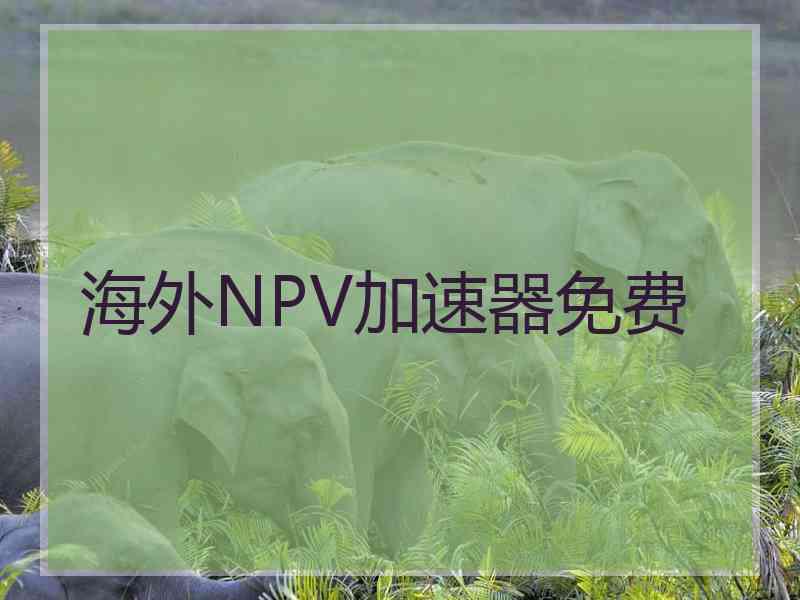 海外NPV加速器免费