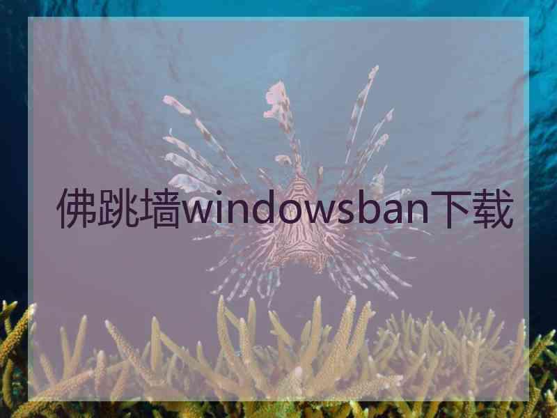 佛跳墙windowsban下载