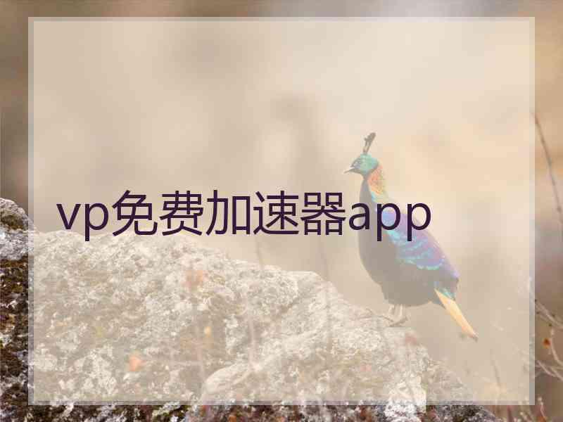 vp免费加速器app