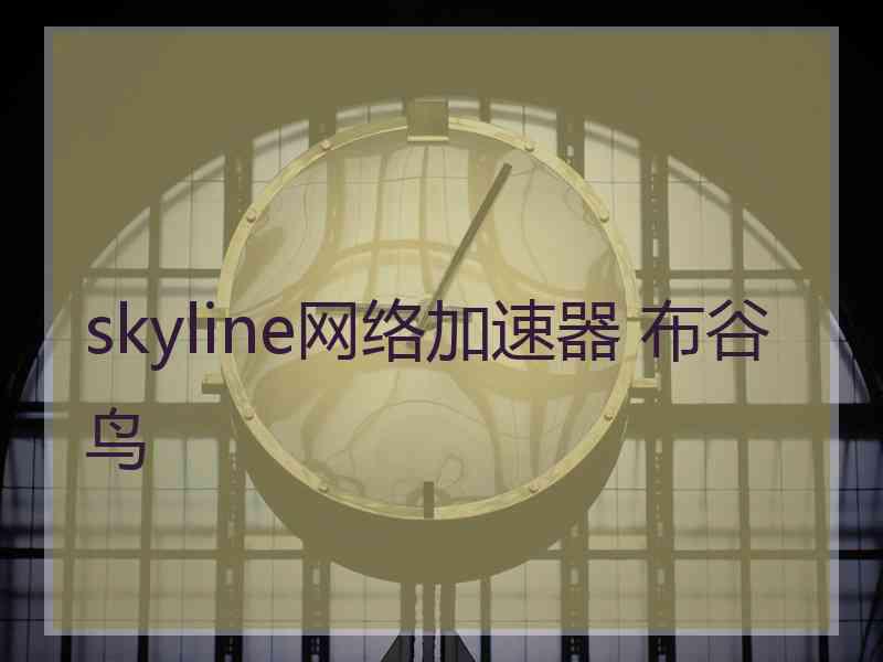 skyline网络加速器 布谷鸟