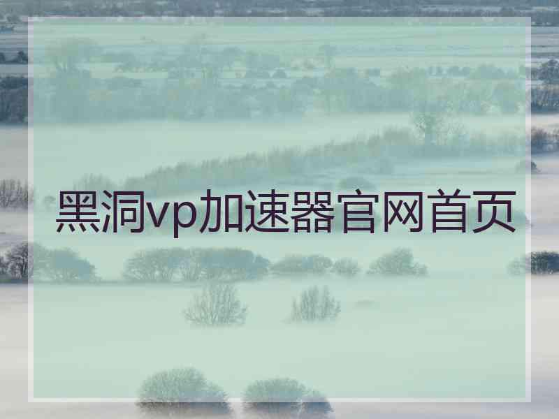 黑洞vp加速器官网首页