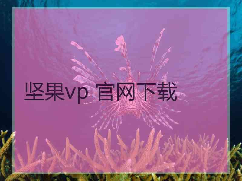 坚果vp 官网下载