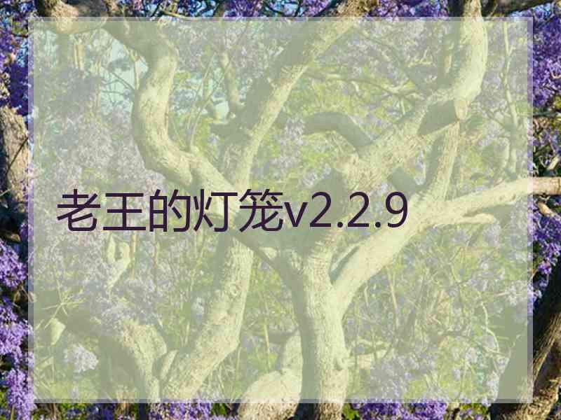 老王的灯笼v2.2.9