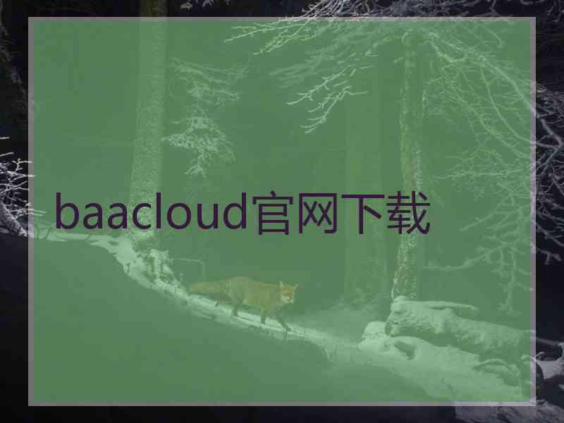 baacloud官网下载