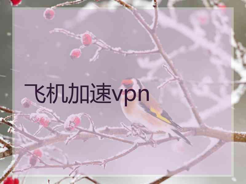 飞机加速vpn