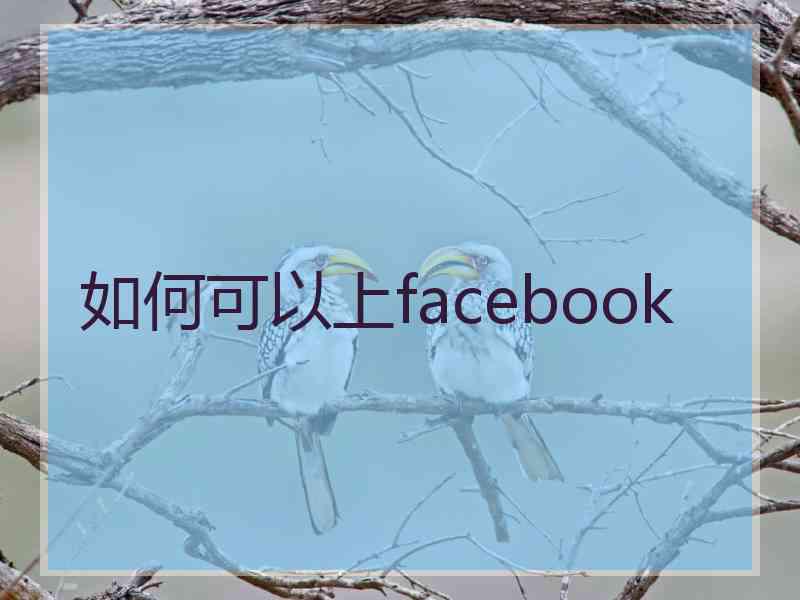 如何可以上facebook