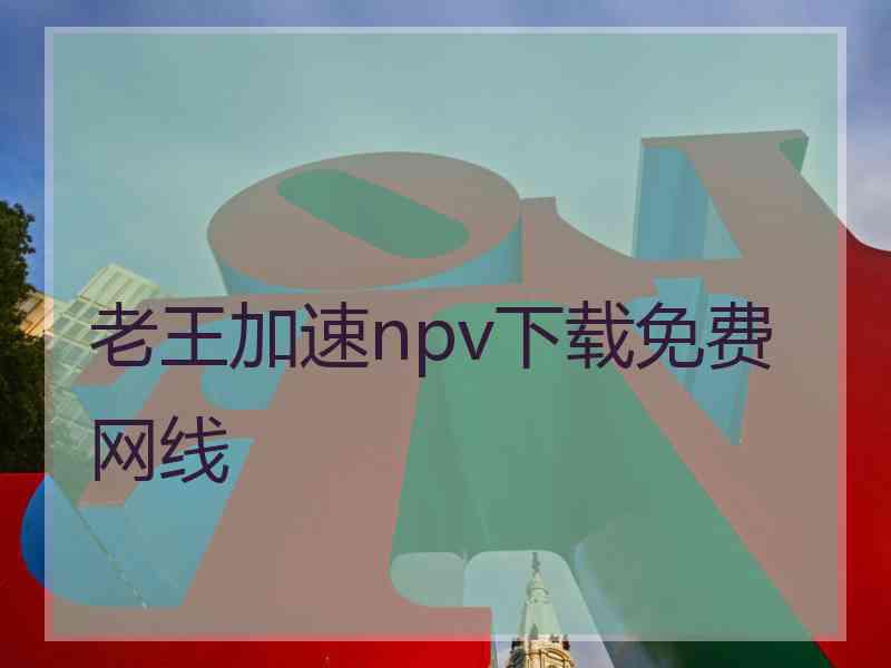 老王加速npv下载免费网线