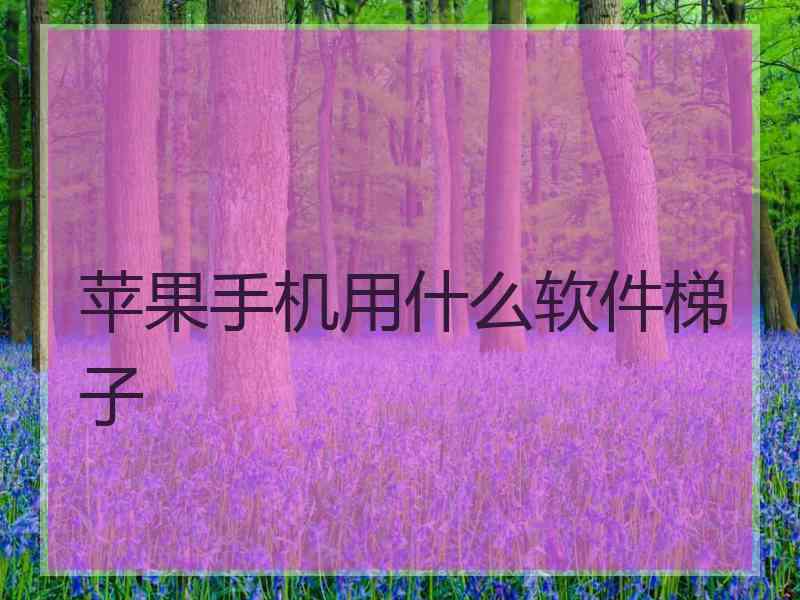 苹果手机用什么软件梯子