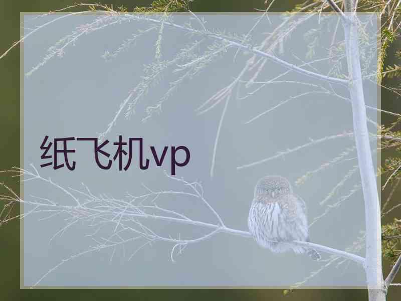 纸飞机vp