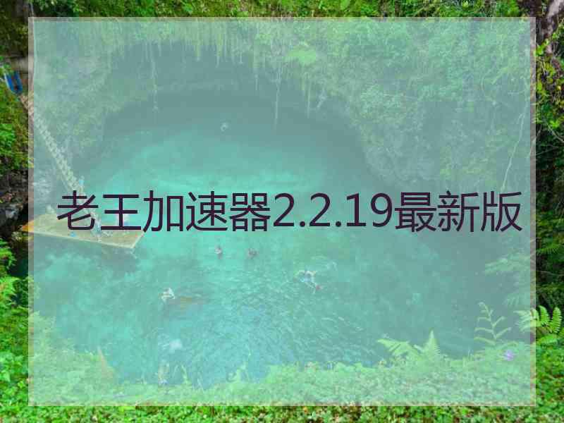 老王加速器2.2.19最新版