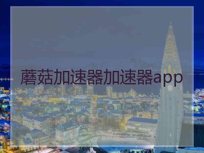 蘑菇加速器加速器app