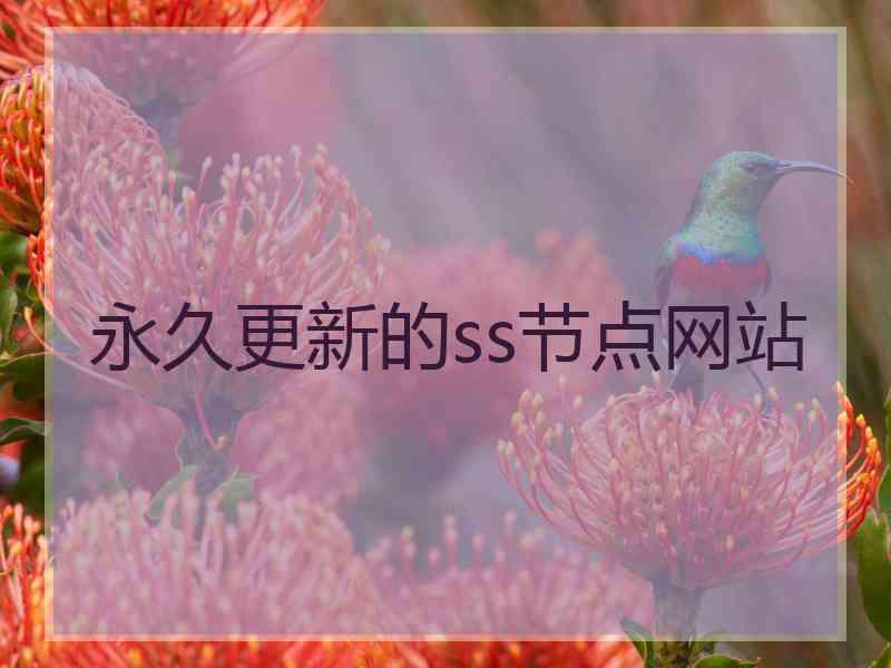 永久更新的ss节点网站