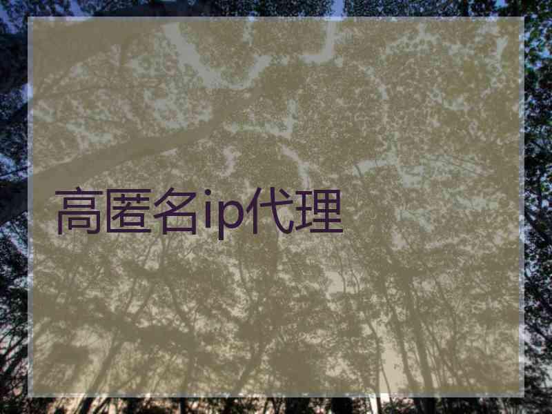 高匿名ip代理