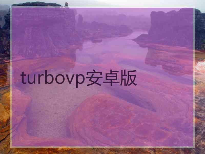 turbovp安卓版