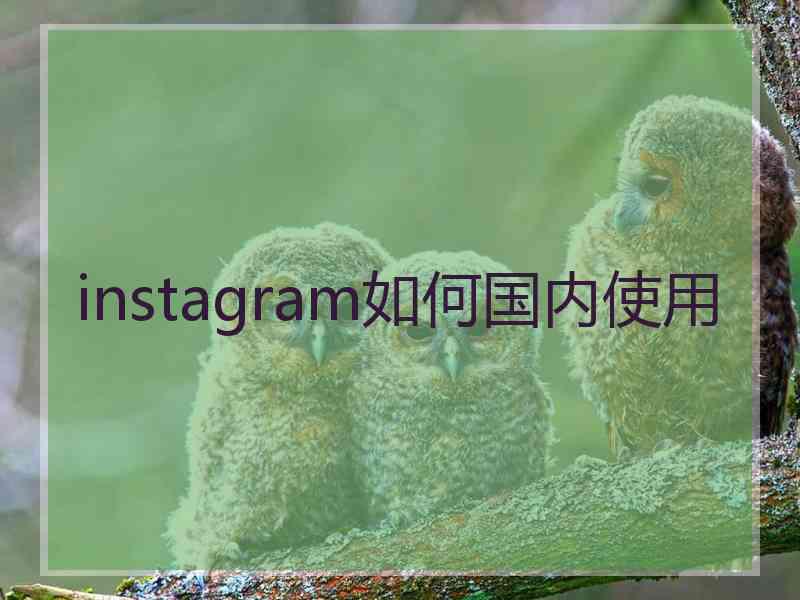 instagram如何国内使用